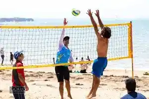 Elson Volley Volleynet Portable Kit Elson Volley Volleynet Portable Kit