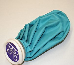 Madison Spare Ice Bag